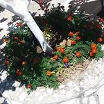 Pantelatos 아파트