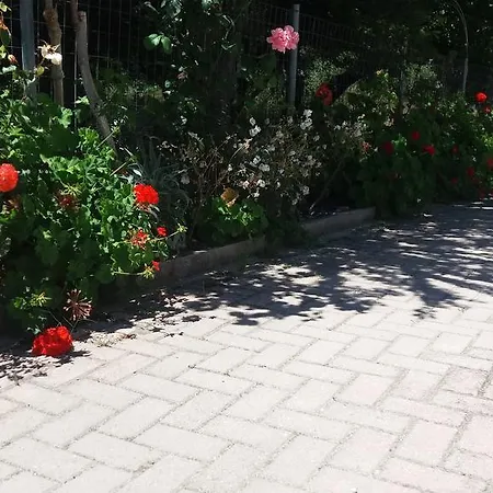 Pantelatos Сами