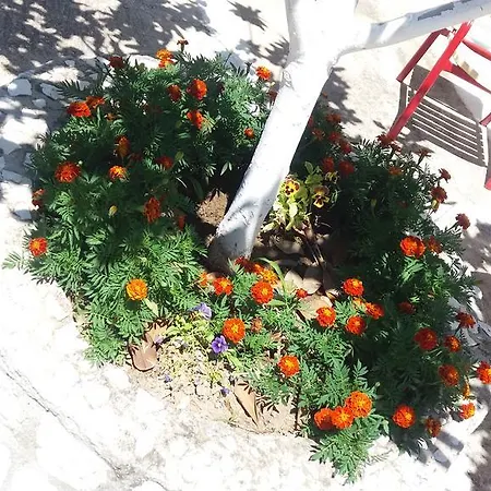 Pantelatos Апартаменты Сами
