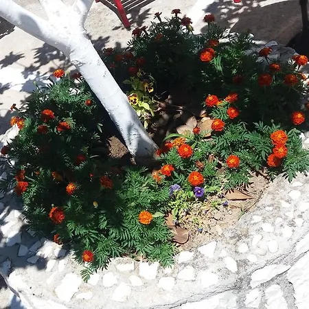 Pantelatos Lägenhet