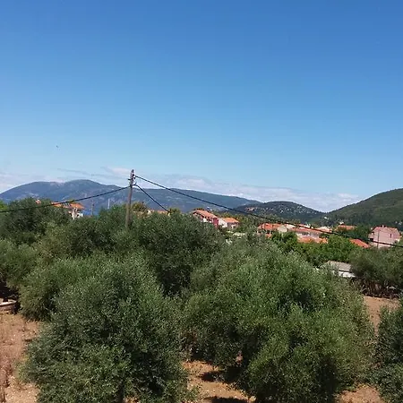 Pantelatos Lägenhet