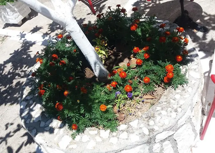 Pantelatos Studios Lejlighed