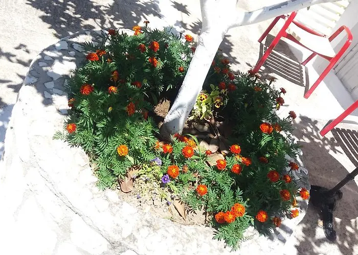 Pantelatos Studios Lejlighed Sami (Kefalonia)